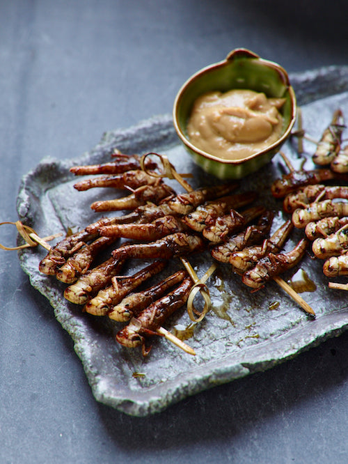 Insekten nature | Set